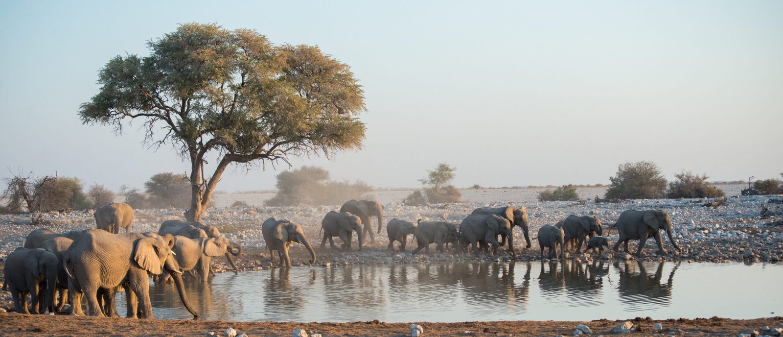 Etosha National Park